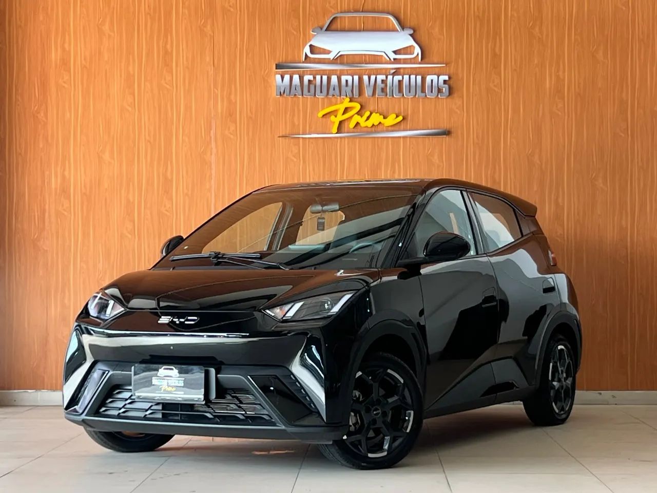 BYD Dolphin EV (Elétrico) 2026 - Foto 3