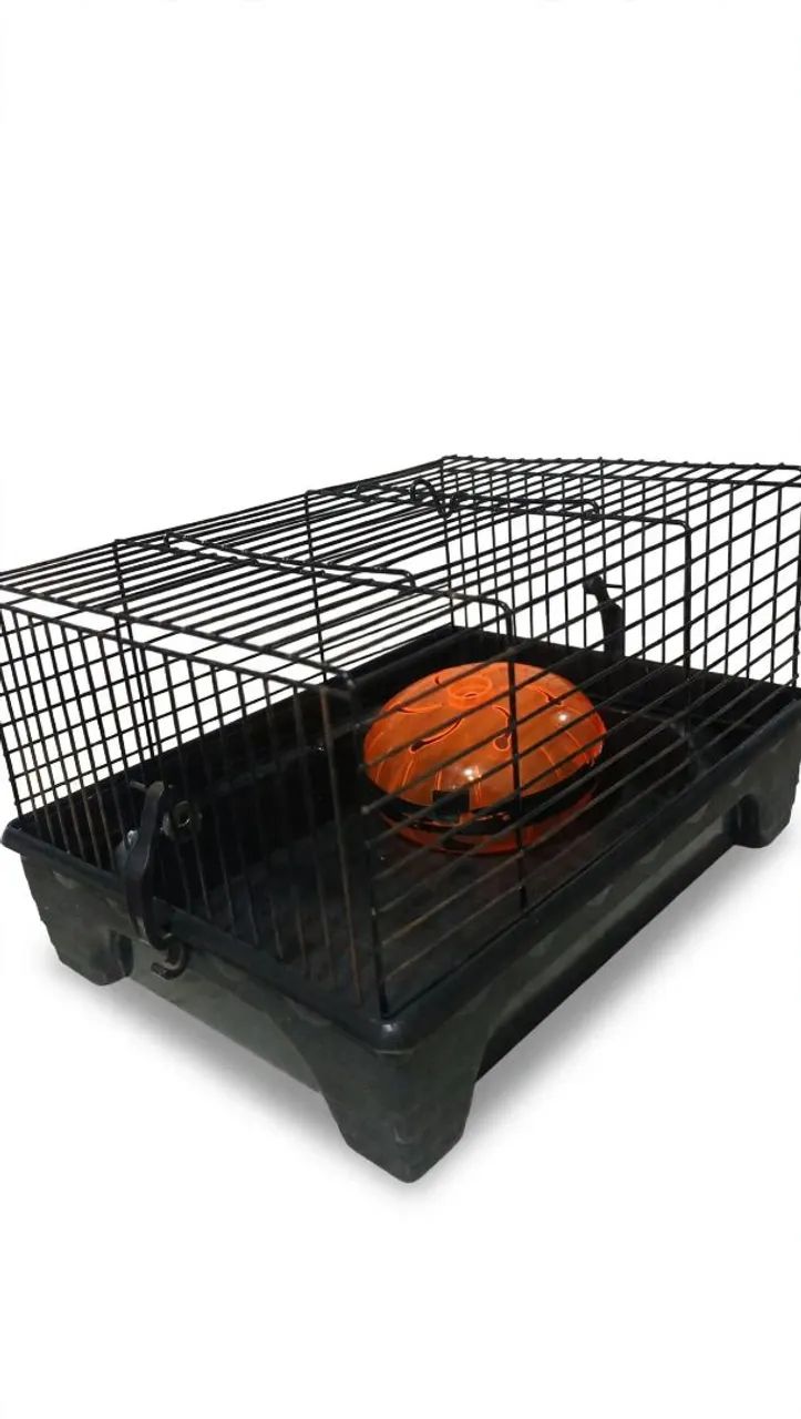 Gaiola hamster 