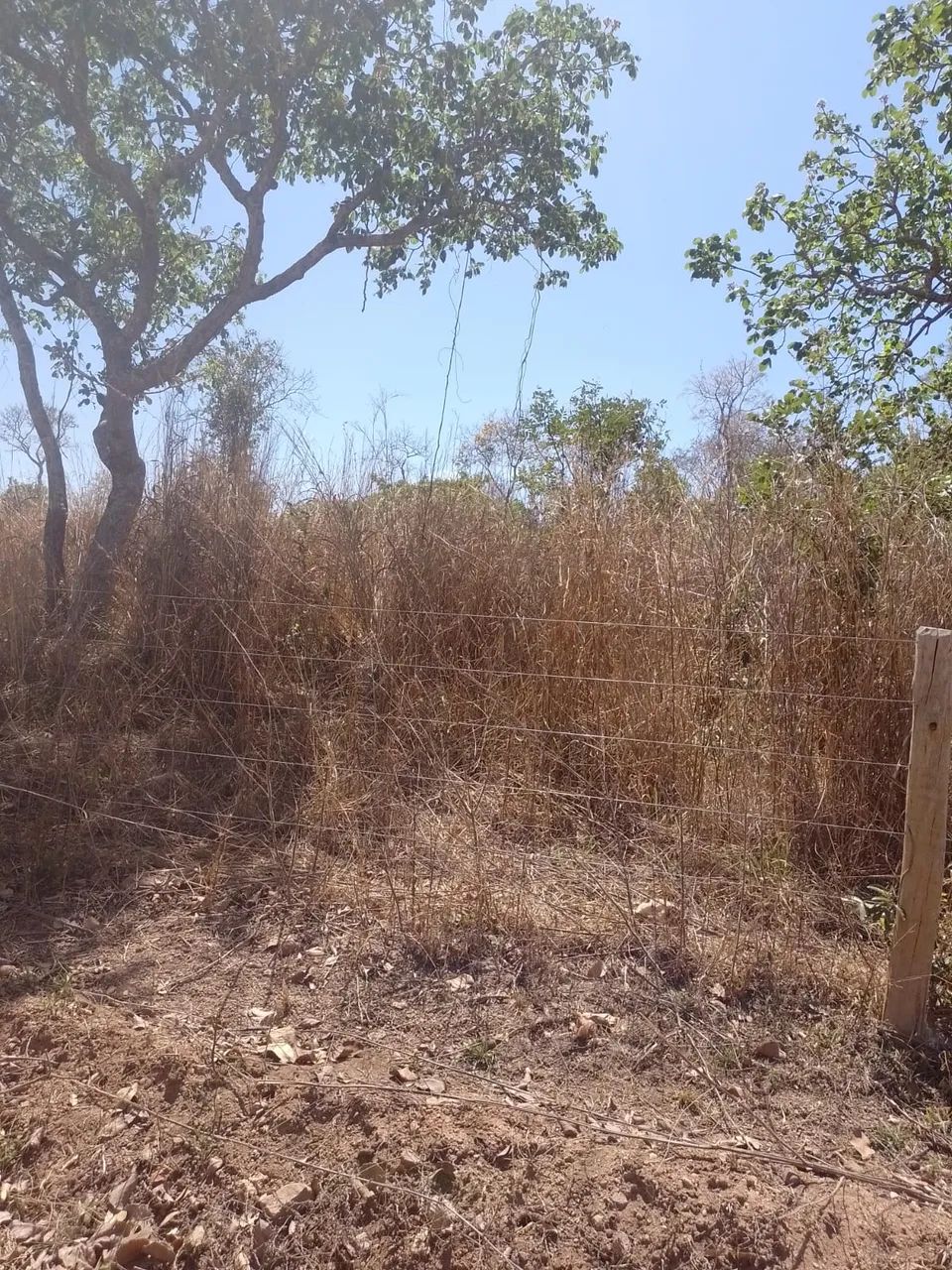 Chácara 384m² em Aparecida de Goiânia - Foto 3