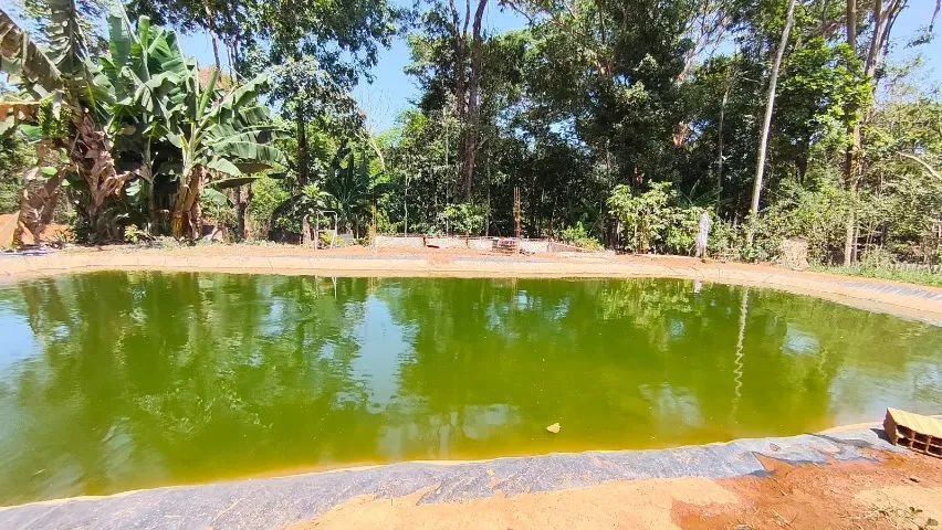 CASA COM LOTÃO DE 2.000 METROS