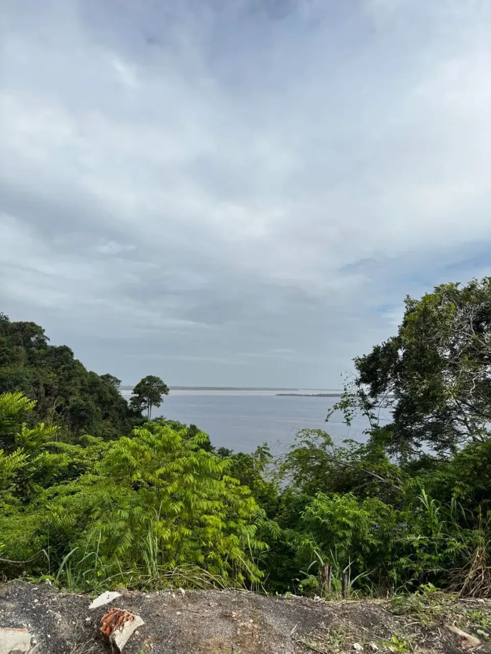 Galpão com 600 m2, Col. Antonio Aleixo - Foto 4