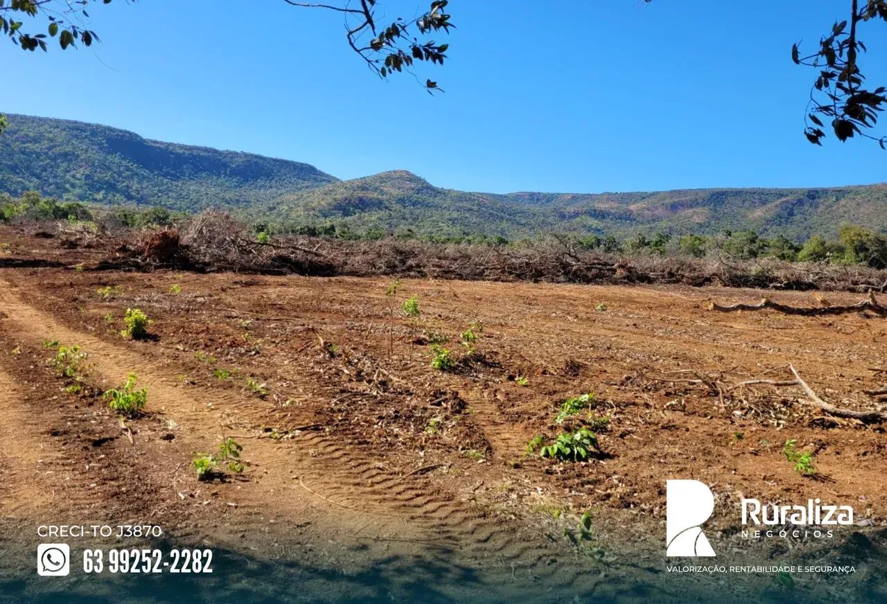 Fazenda a venda em Brejinho de Nazaré | Argilosa | Curral para 1.000 cabeças - Foto 12