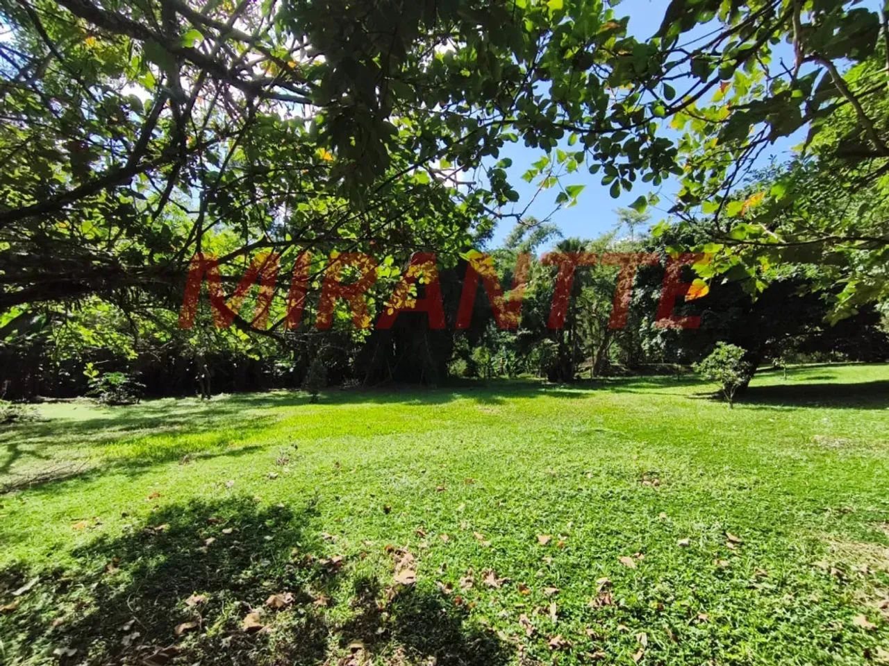 TERRENO PLANO COM NASCENTE | SERRA DA CANTAREIRA  ROSEIRA - Foto 4