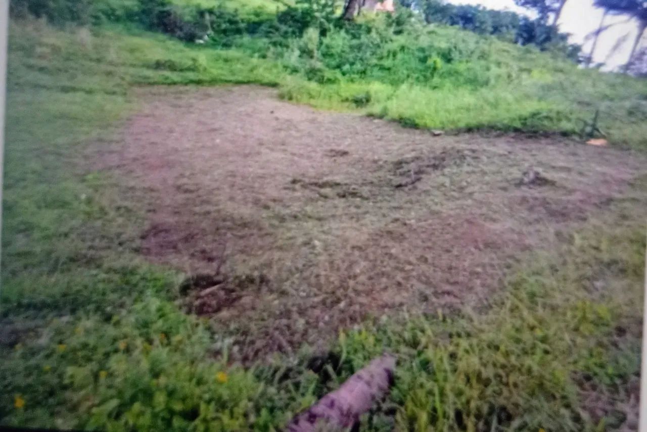 Terreno barato em Paripe 
