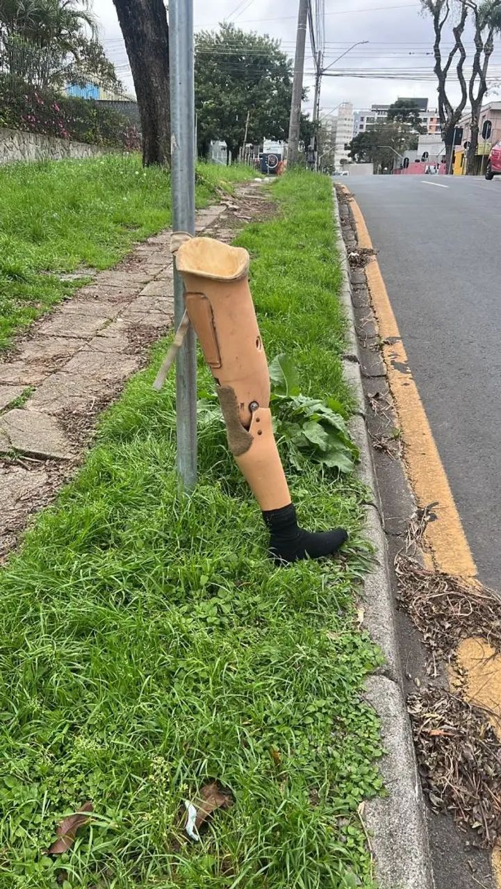 Jardinagem  - Foto 4