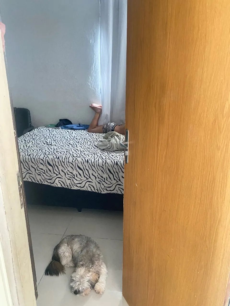 ?Apartamento à venda- Morada Nova  - Foto 5