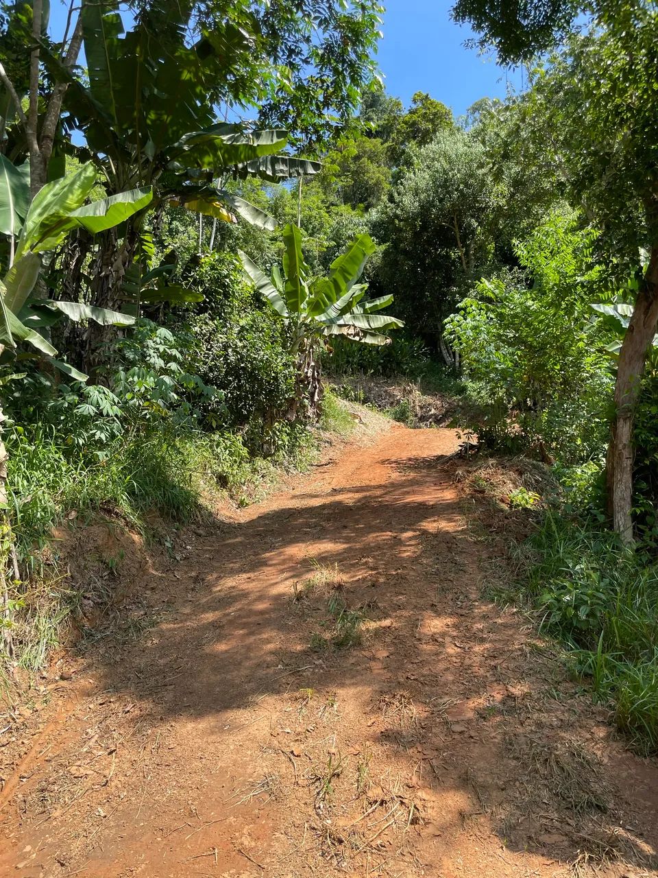 Chácara a venda Miracatu/SP - Foto 2