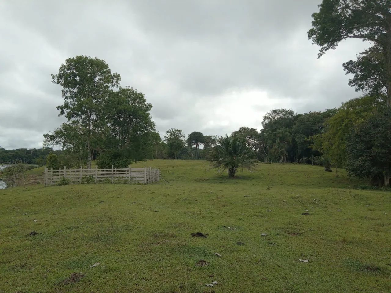 Sítio no careiro Castanho  - Foto 2