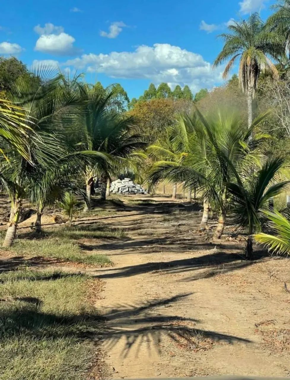 Sítio a venda  - Foto 3