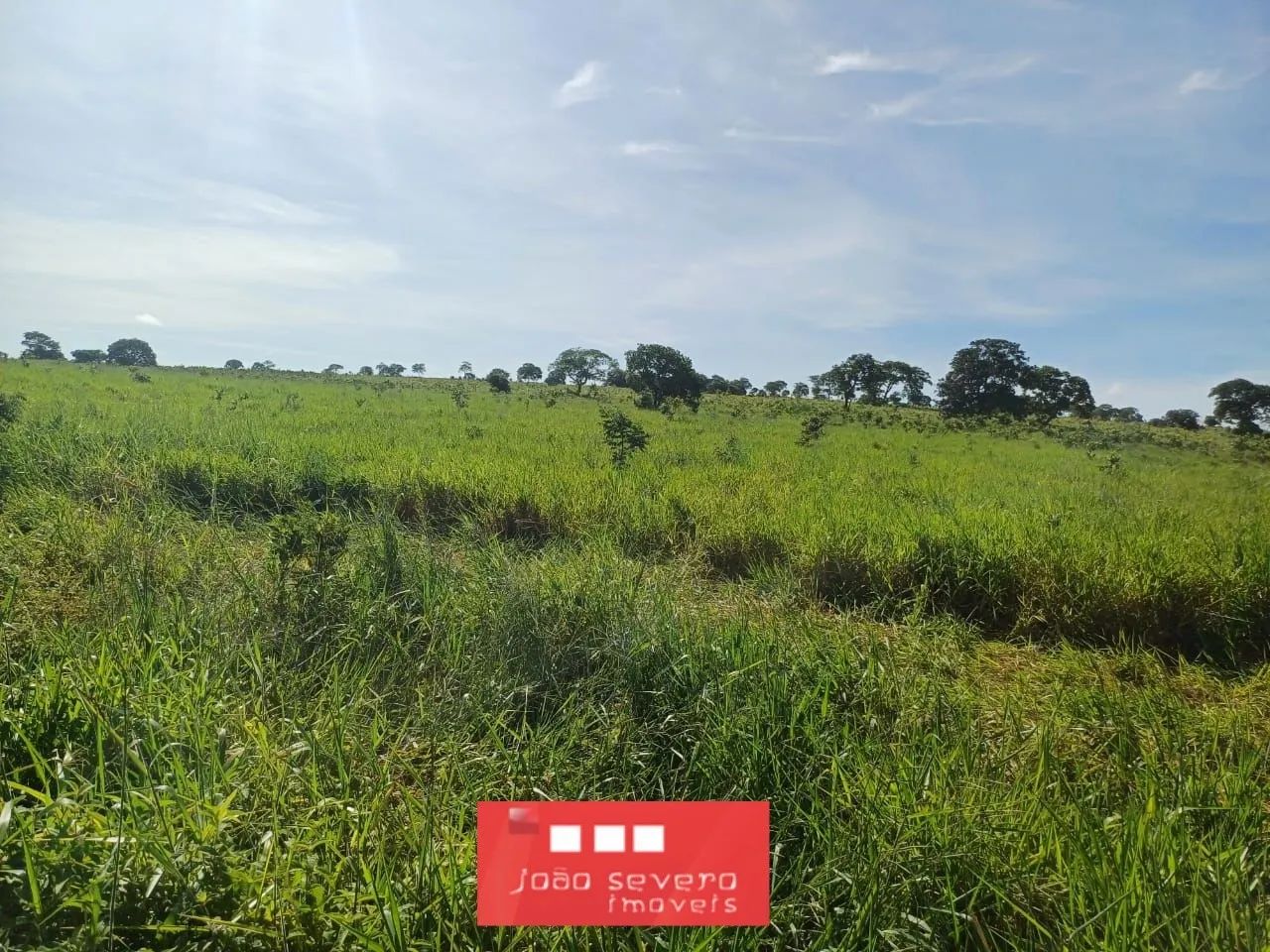 Fazenda para Venda em Tesouro - Foto 3