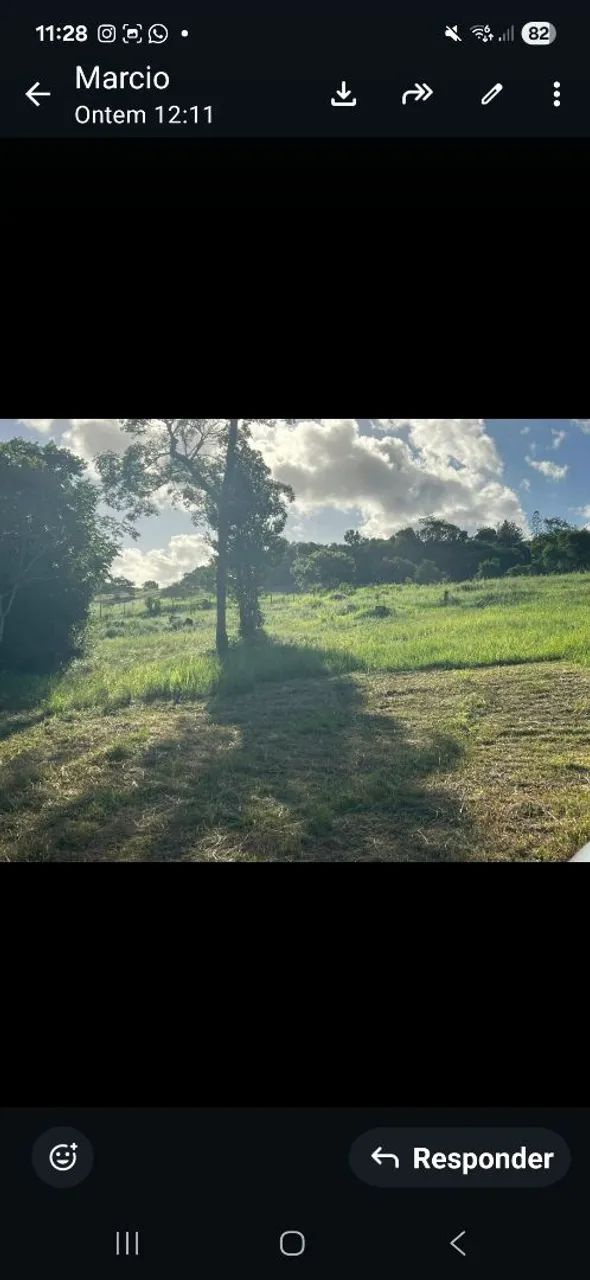 Nativo sitios - Foto 4