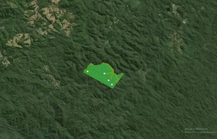 Mata para compensação ambiental 