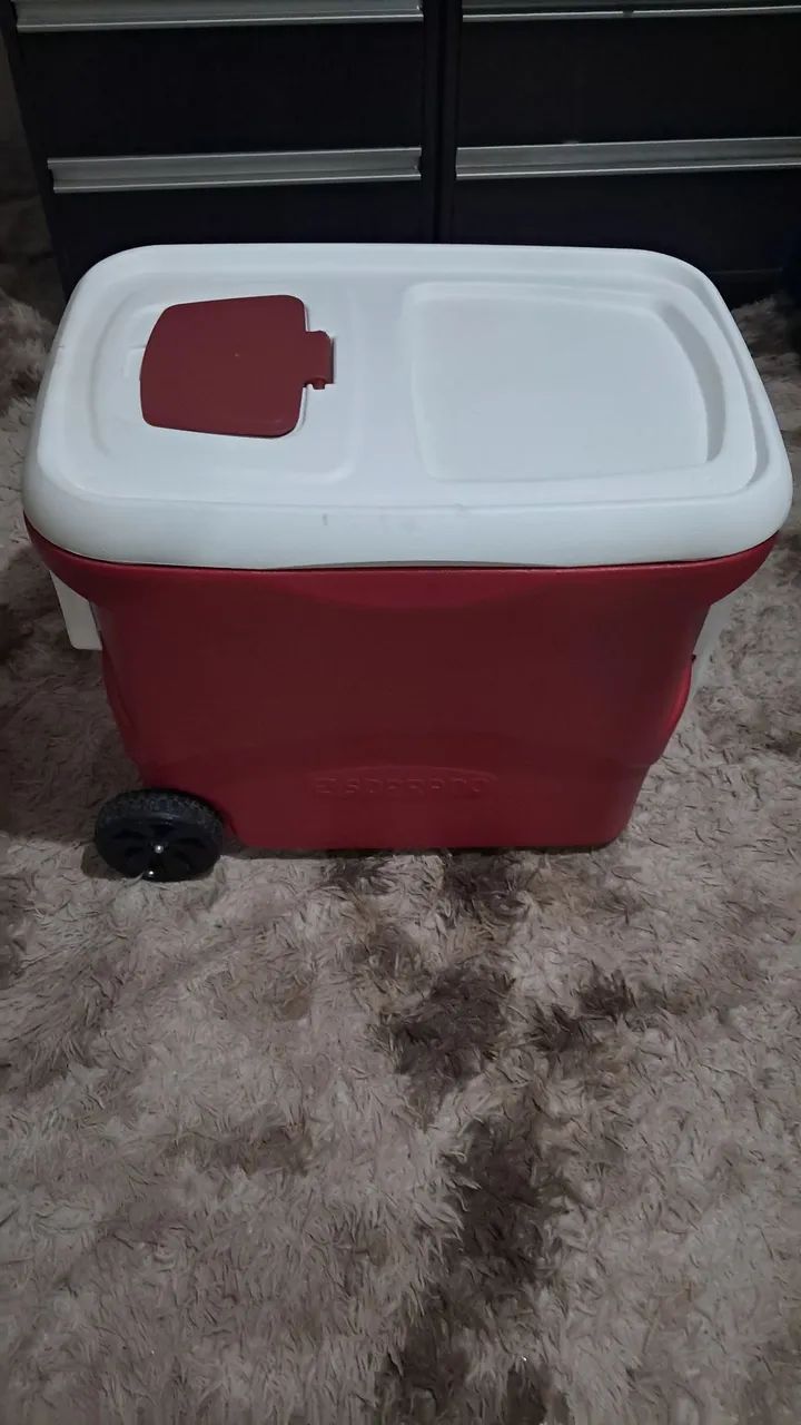 Caixa Térmica Soprano 50 l - Foto 2