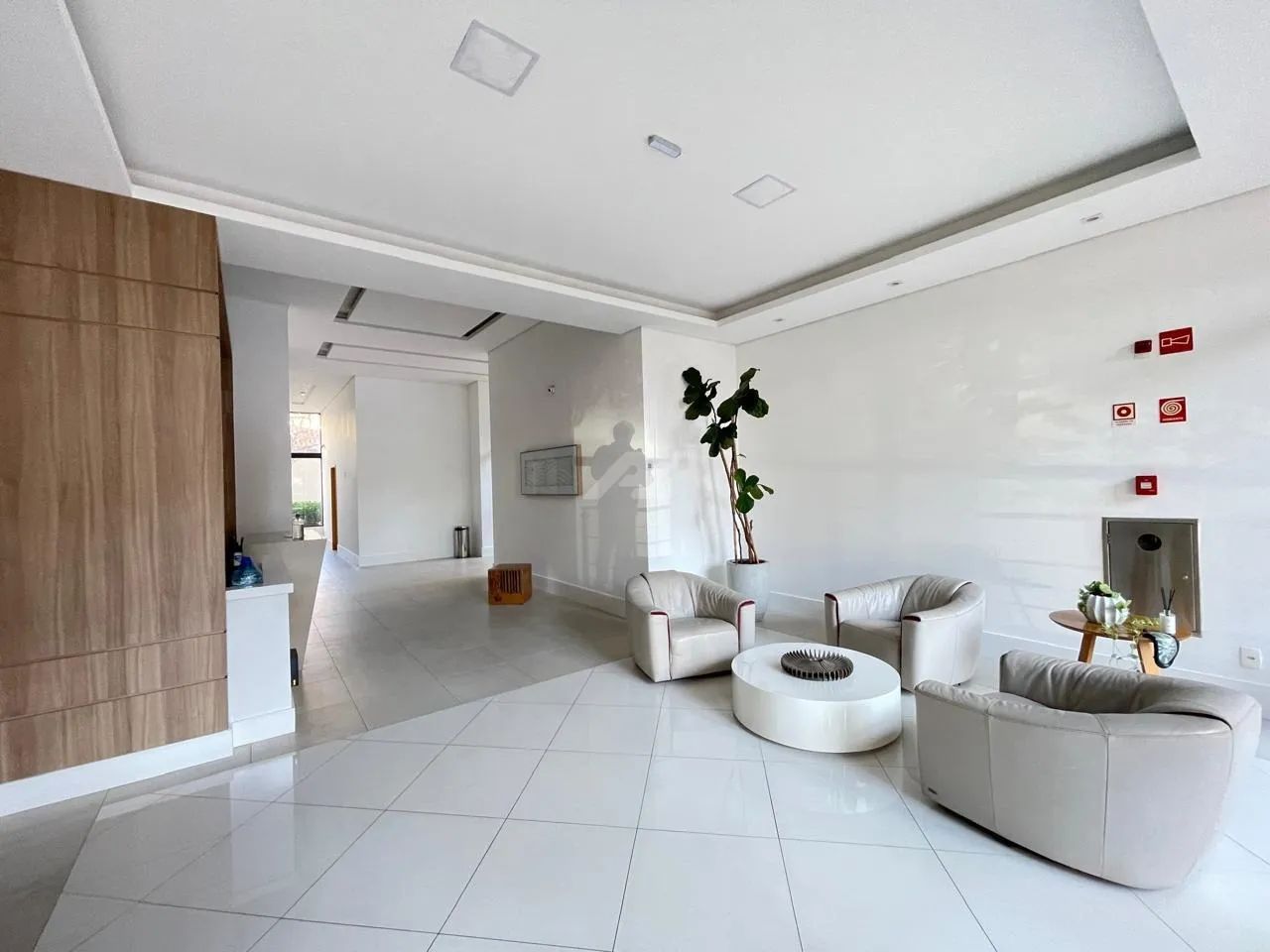 apartamento - Cambuí - Campinas - Foto 2