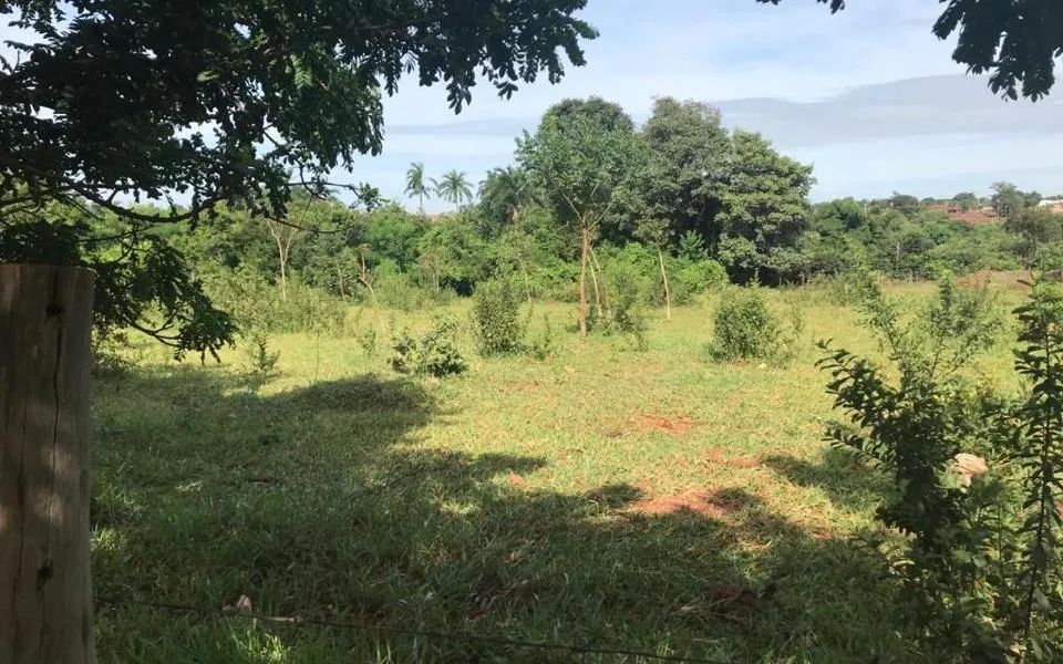 Campo Grande - Terreno Padrão - Jardim Centenário - Foto 4