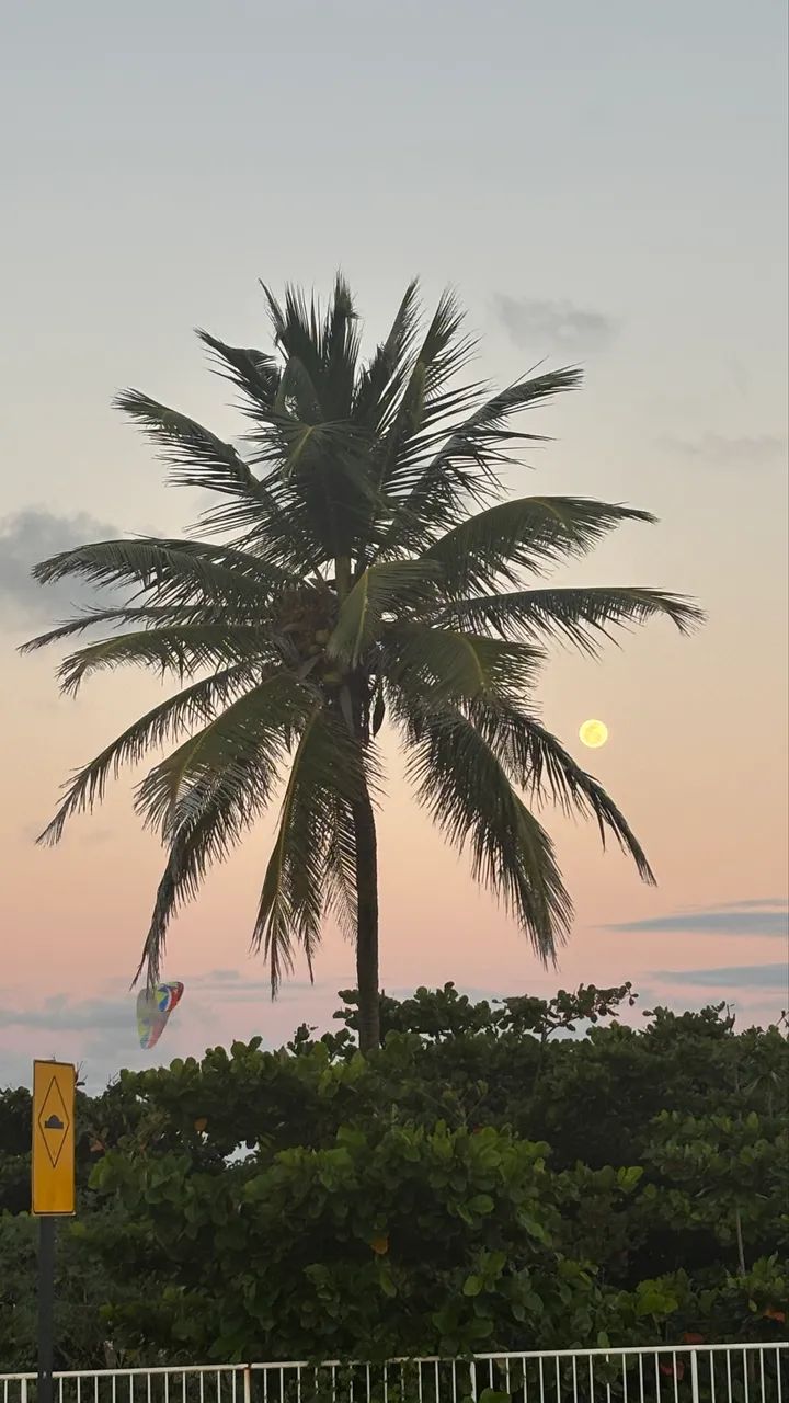 Vaga Serviços Gerais