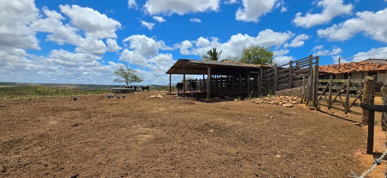 FAZENDA EM SÃO MIGUEL DO ALEIXO - Foto 4