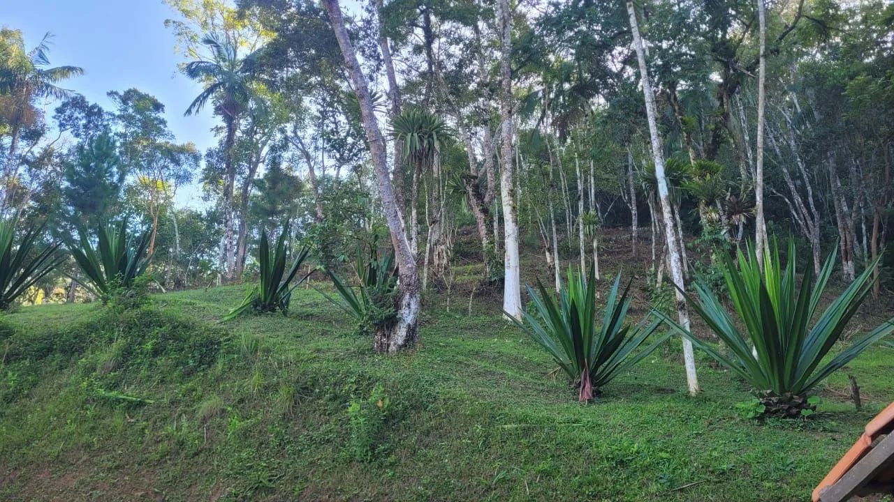 VENDO LINDO SITIO CINEMATOGRAFICO - Foto 5
