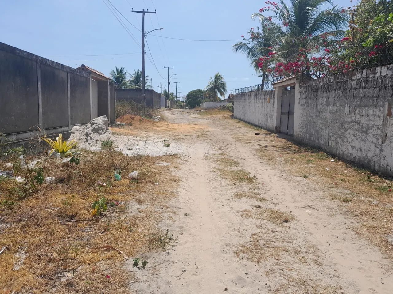 Terreno em Catuama - Foto 2