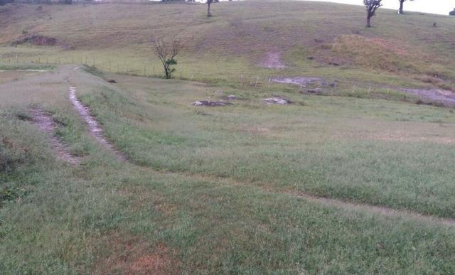 Propriedade com 2 casas de 13 hectares, em Sairé, 700 mil - Foto 18