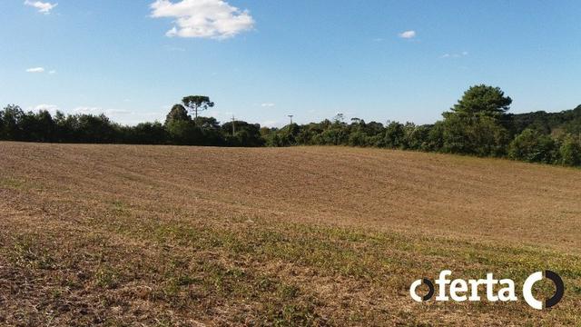 Chácara em Contenda Urbana - (100 mil + 50 parcelas de 2.000,00) / Camionete - Foto 10