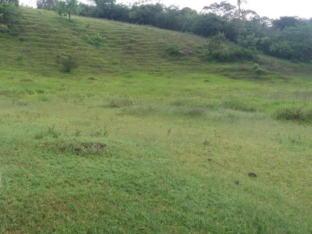 Propriedade com 2 casas de 13 hectares, em Sairé, 700 mil - Foto 17