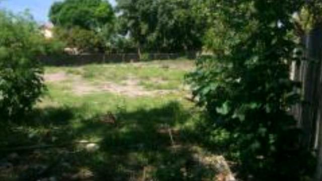 Grande Lote em Maracaipe- Oportunidade de investimento!!