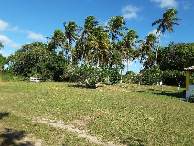 Fazenda em Dom Marcolino - Maxaranguape, RN - Foto 3