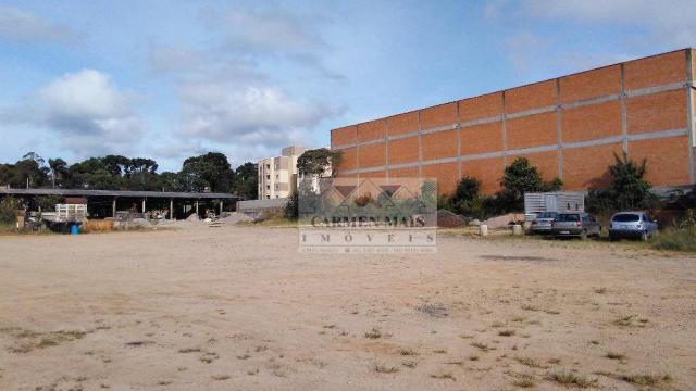 Terreno residencial à venda, colônia rio grande, são josé dos pinhais - te0023. - Foto 9