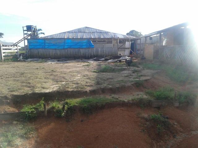Fazenda em Autazes 750.000 - Foto 10