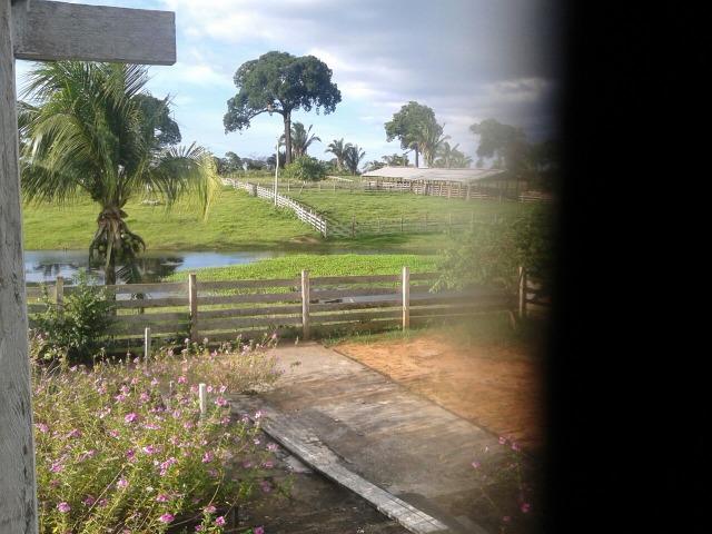 Fazenda em Autazes 750.000 - Foto 13
