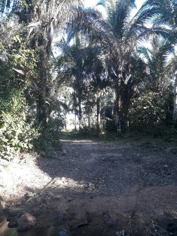 Fazenda para Pecuária em Livramento a 51 km de Cuiabá - Foto 18