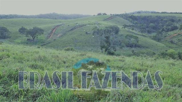Fazenda em Itamaraju - Foto 7