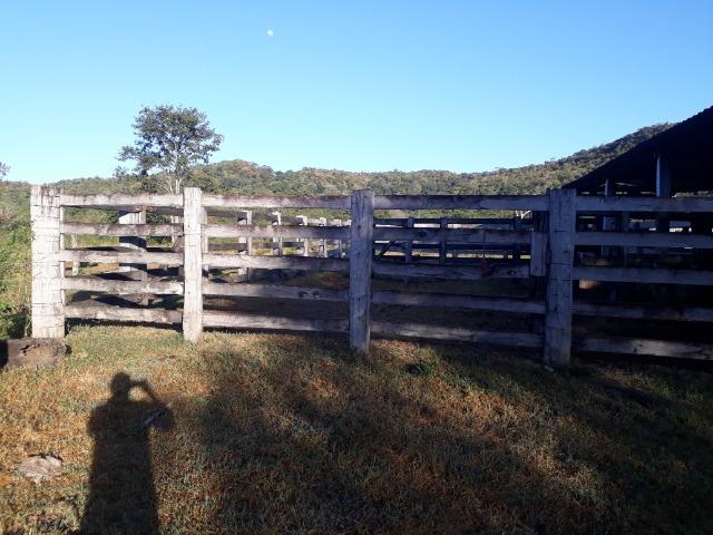 Fazenda 866 Hectares apos 35 km da Agrovila das Palmeiras - Foto 7