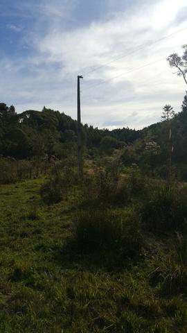 Terreno de 30.000m2 para chácara em Campo Alegre - Foto 8