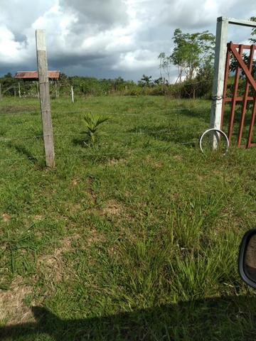Terreno no Mutum negociavel - Foto 2