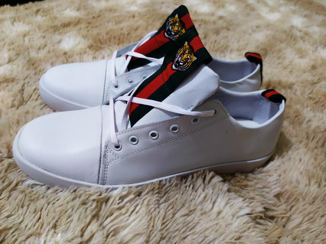 Tenis Lacoste Gucci Novos - Foto 3