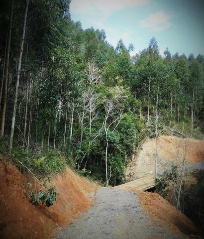 Alfredo Wagner , Serra Catarinense 8,0 hectares - Foto 7
