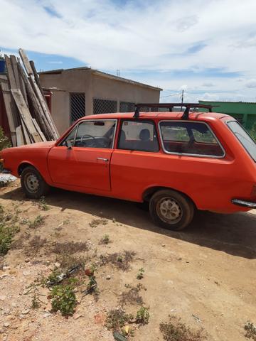 Belina 1 ano 77