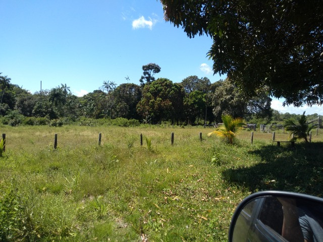 R$350 mil reais 17 hectares em Castanhal -Pa com casa boa de alvenaria - Foto 10