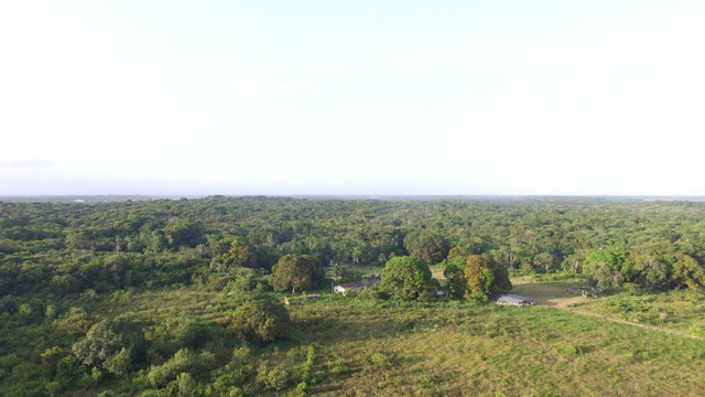 R$350 mil reais 17 hectares em Castanhal -Pa com casa boa de alvenaria - Foto 5