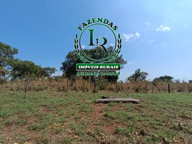 Fazenda 6 Alqueires Próximo a Palmas Tocantins