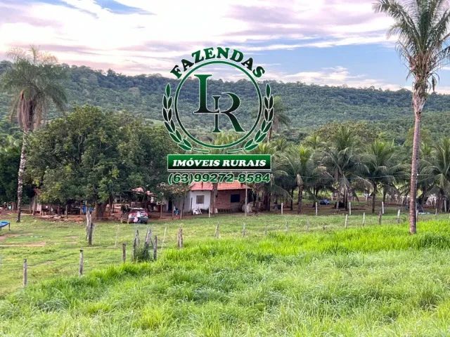 Fazenda / chácara 10 Alqueires Dupla Aptidão - Foto 4