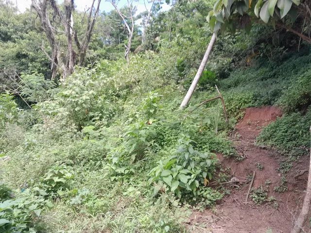 Ótima Oferta: Terreno Amplo Próximo à Natureza 6532 m2 - Foto 3