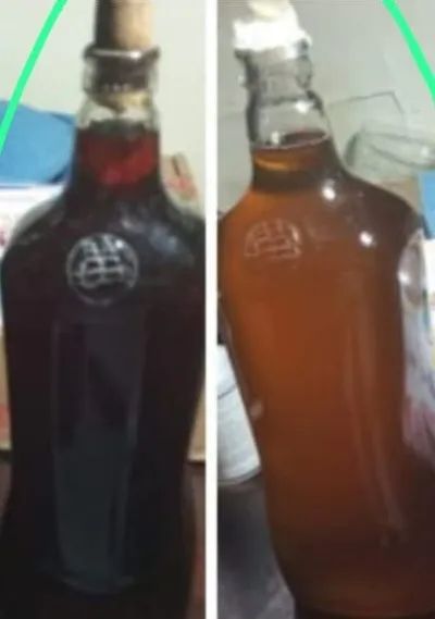 MEL de abelha venda/revenda - Foto 2