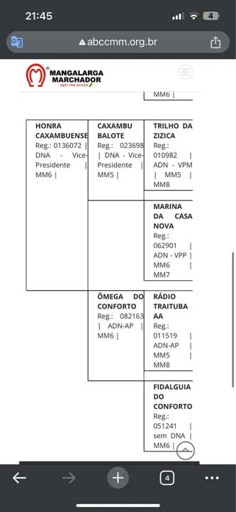 Cavalo Mangalarga Marchador - Foto 5