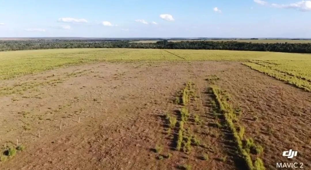 Fazenda em Guaraí -TO. - Foto 4