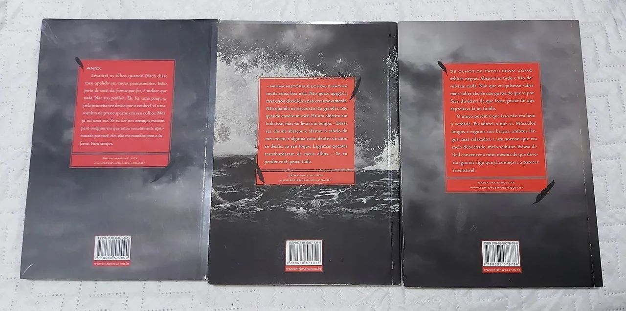 Saga Hush, Hush  - Foto 2