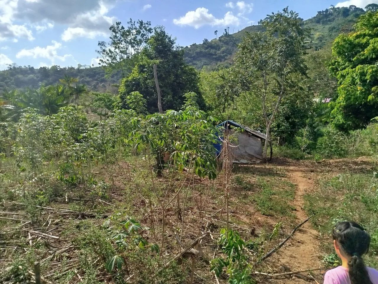 Chácara com Poço e energia  - Foto 4