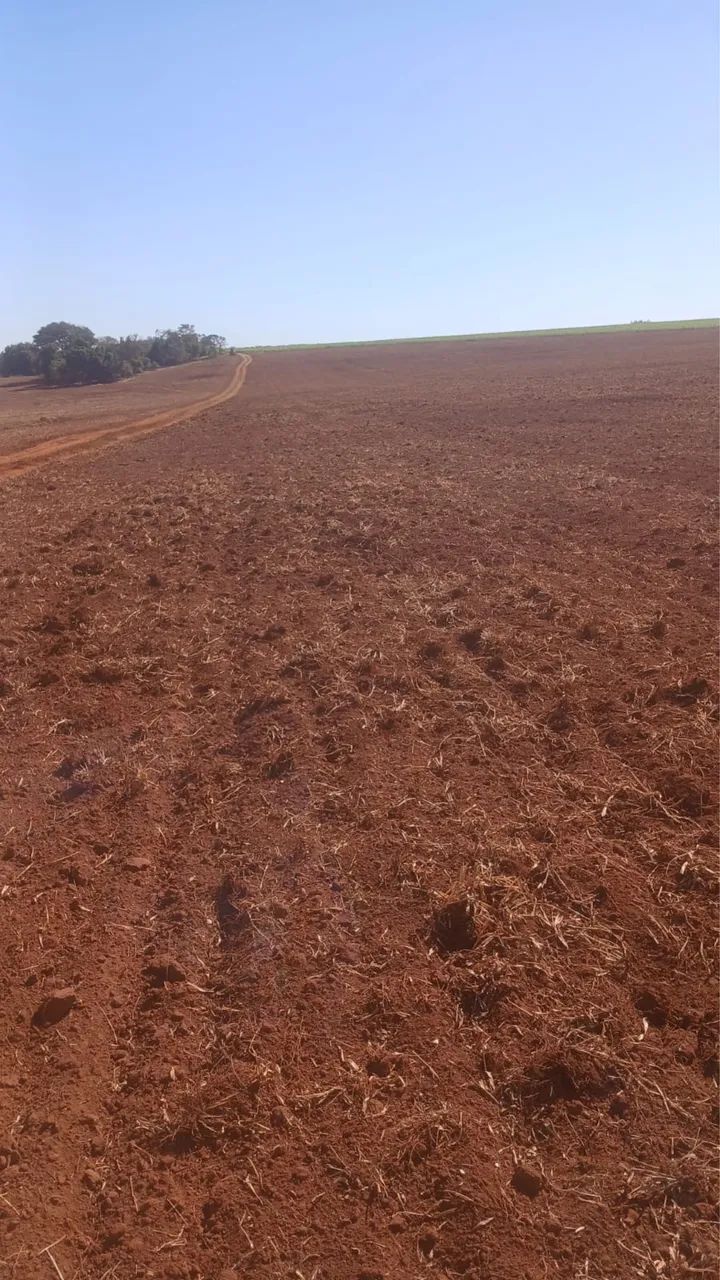 Fazenda em Uberaba 100% aproveita lavoura  - Foto 4
